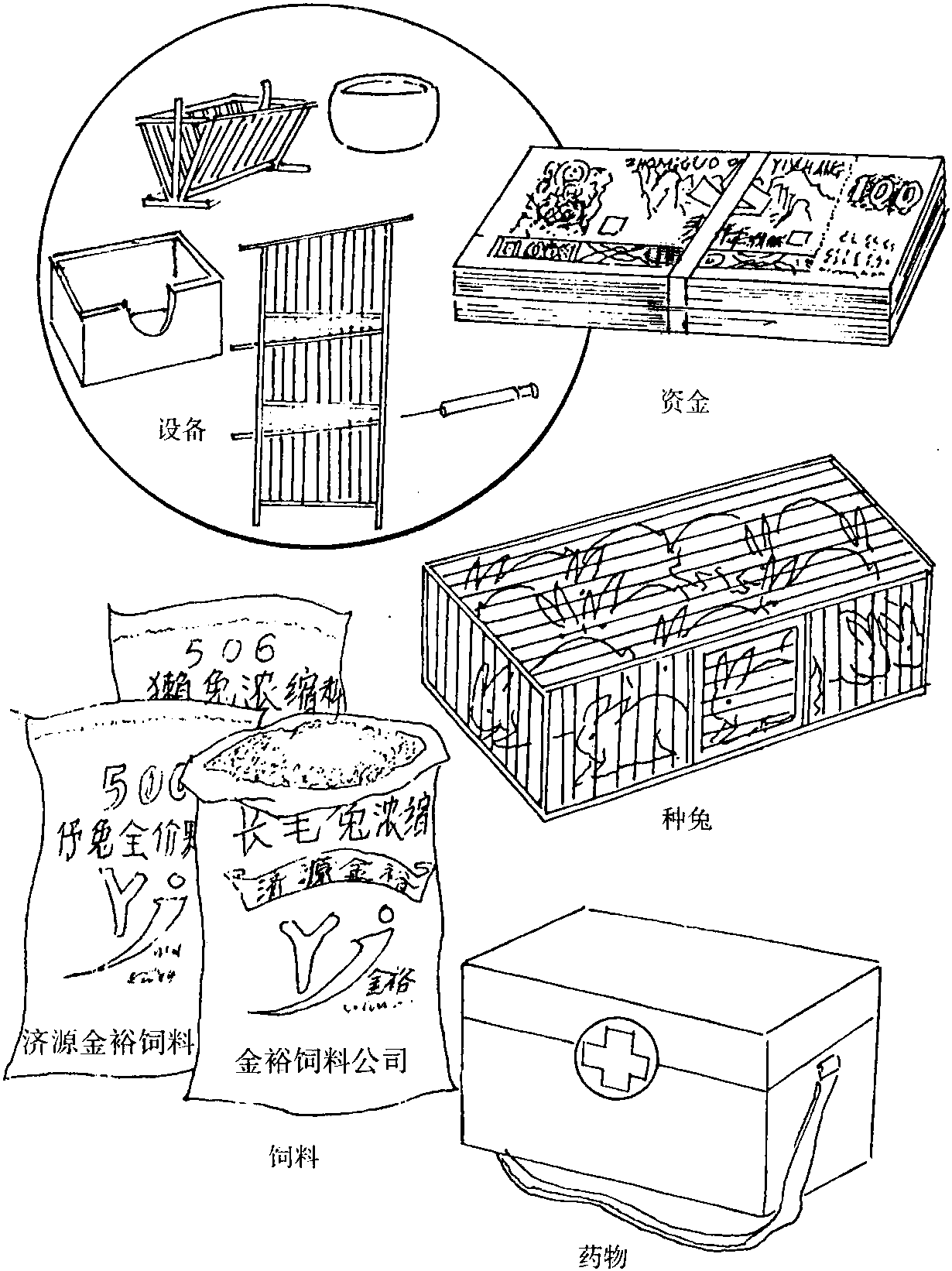 四、飼養(yǎng)家兔的必要條件